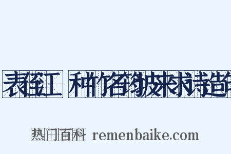 表侄江坰种竹名筠坡来求诗造句是什么意思的图片